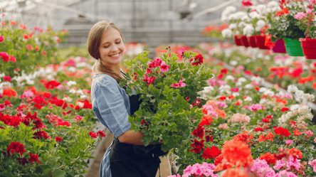 Робота у квіткових теплицях в Данії — хто потрібен та скільки платять - 285x160