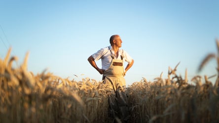 Право собственности на землю — какое основание для прекращения - 285x160