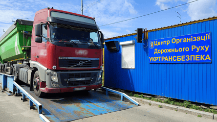 На півдні України посилять перевірки вантажівок — на який термін - 285x160