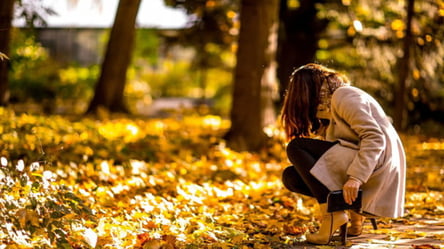 Аномальне тепло чи сніг — якою буде погода у листопаді - 285x160