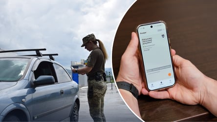 Литва не даст защиту украинцам, не состоящим на воинском учете - 285x160