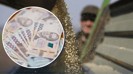 Ціни на зерно продовжують падіння: що стрімко дешевшає у червні - 290x166