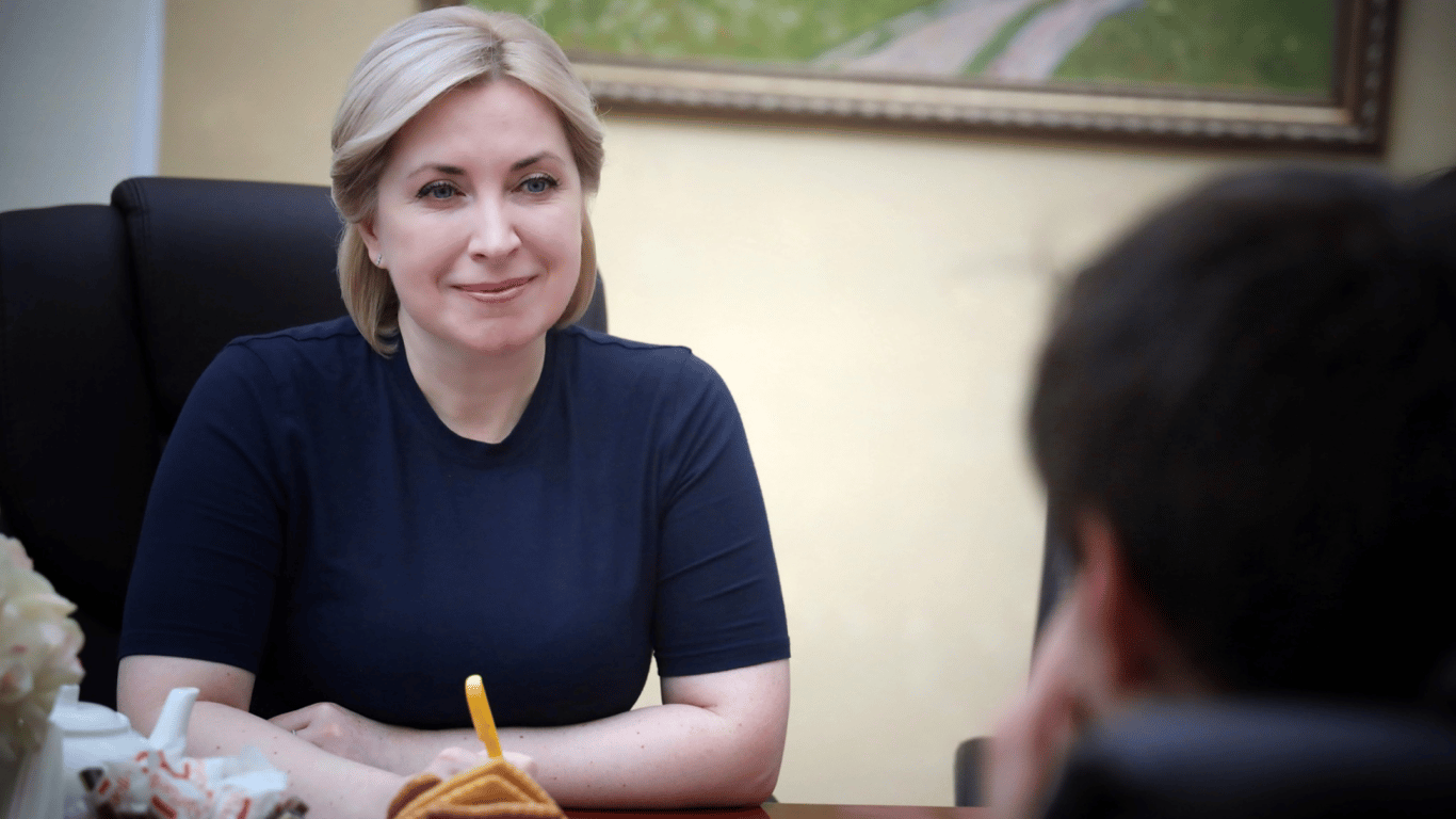 Зарплата Ірини Верещук — які доходи вказала міністерка у декларації за 2023 рік