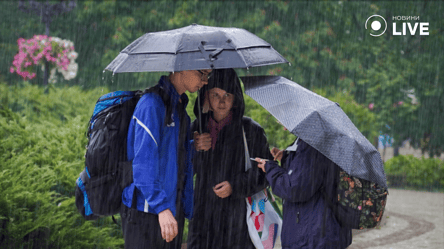 Не забудьте парасольку — народний синоптик Діденко попередила українців про похолодання - 290x166