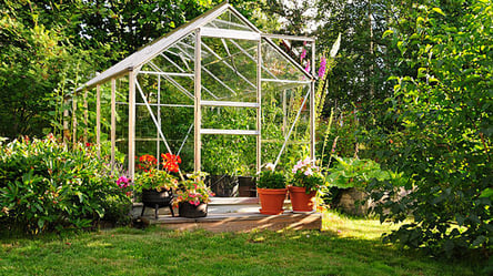 Осіння обробка теплиці — секрет здорового врожаю навесні - 285x160