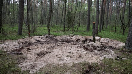 В Польше нашли упавшую полгода назад боеголовку российской ракеты - 285x160