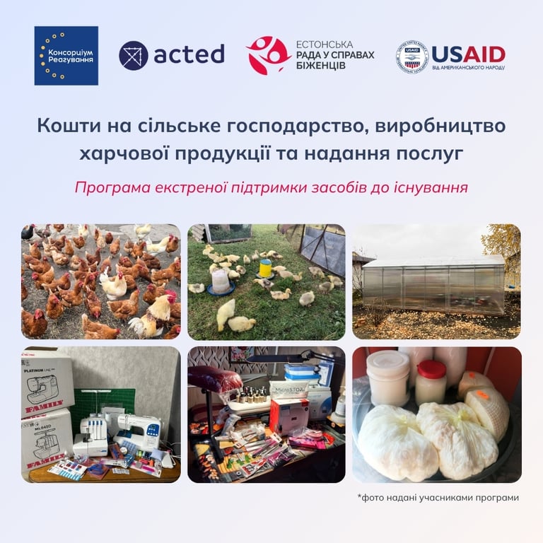 допомога українцям