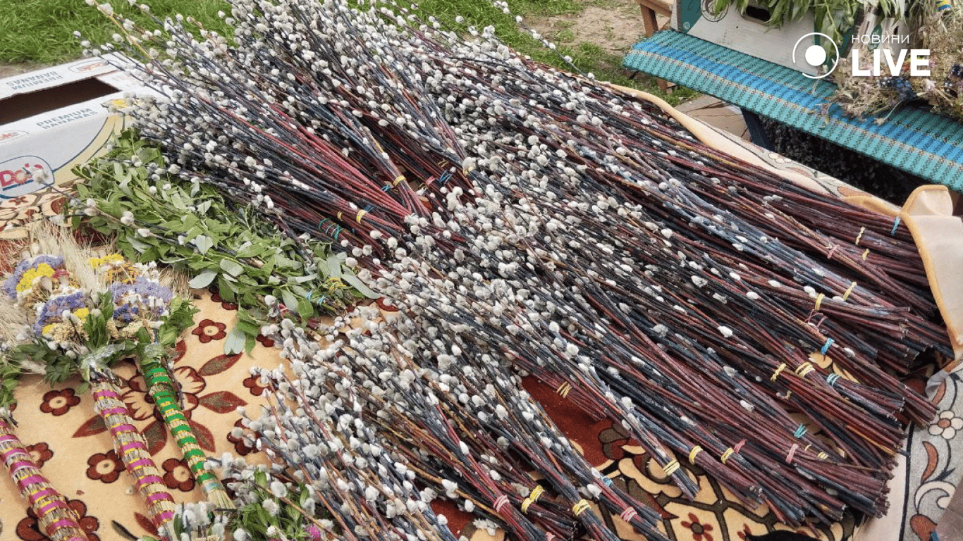 Ціни на букети з верби в Одесі сьогодні, 28 квітня