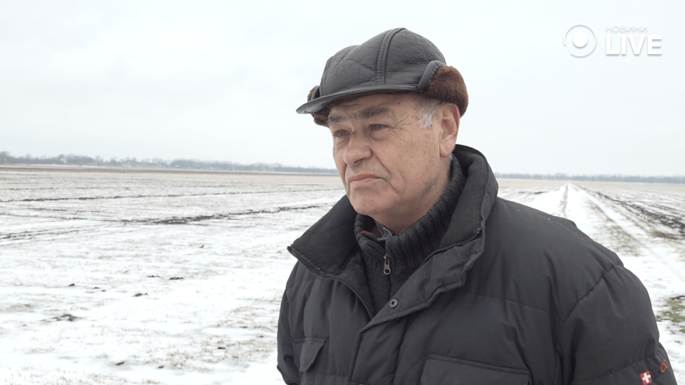 Виснажений ґрунт та зледеніння – чи буде врожай на Одещині у 2026 - фото 8