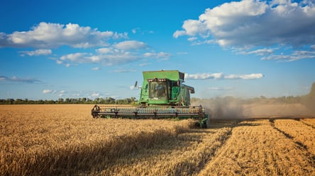 Ціни на зерно в Україні — скільки коштує ячмінь у травні - 285x160