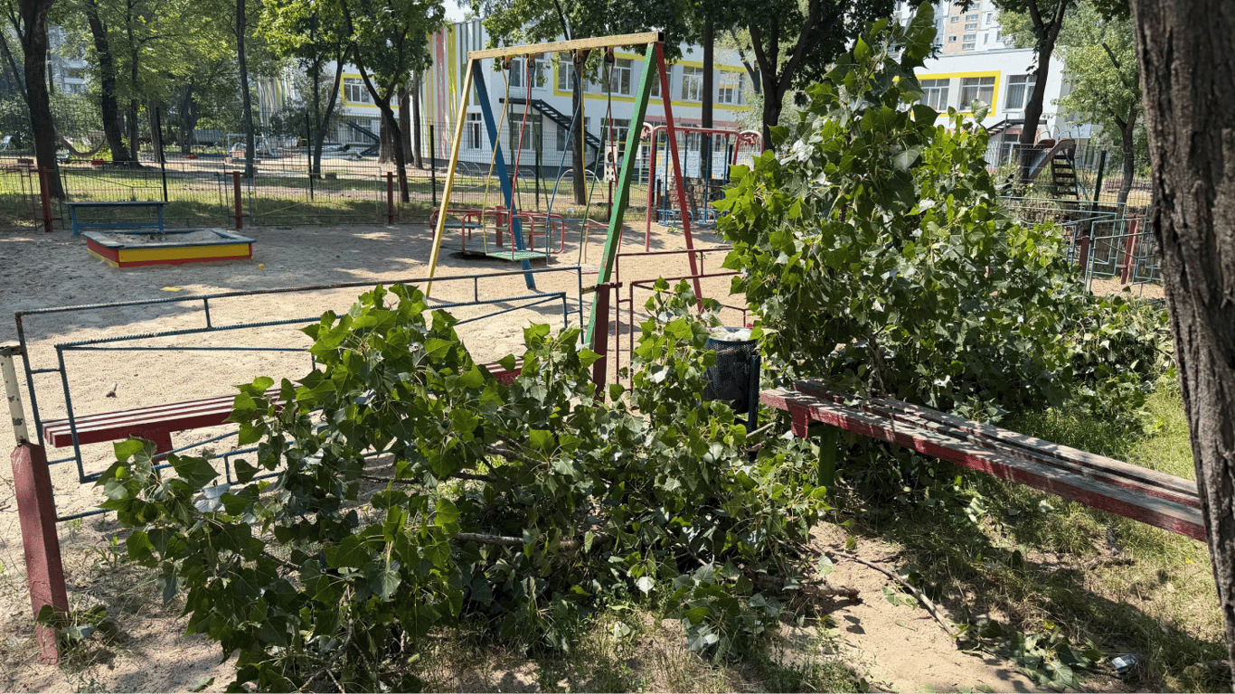 Повалені дерева та підтоплення: як Київ оговтується після негоди