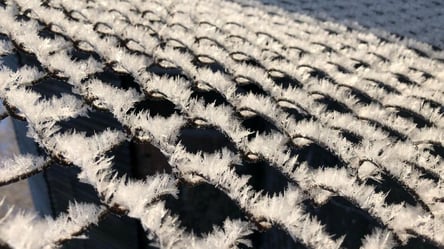 Удивительная фотография: в сети показали кристаллическую изморозь под Харьковом - 285x160
