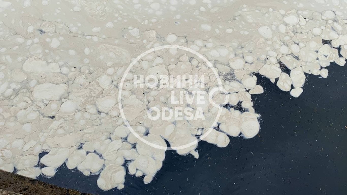 В Аркадии в море белые пятна - одесский эколог назвал причину