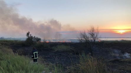 Ймовірно хтось підпалив: в Одеській області загасили масштабну пожежу очерету - 285x160