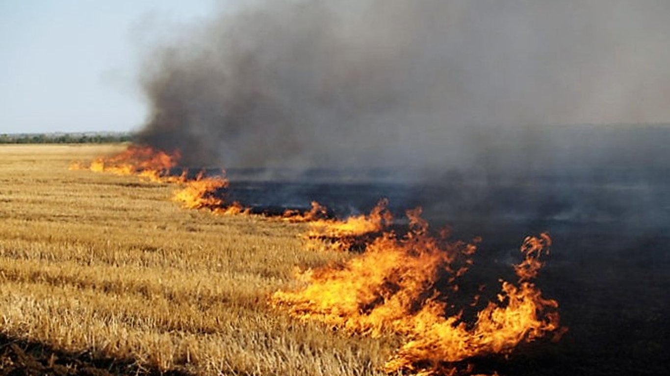 "Охота" на поджигателей травы - на Киевщине идут рейды