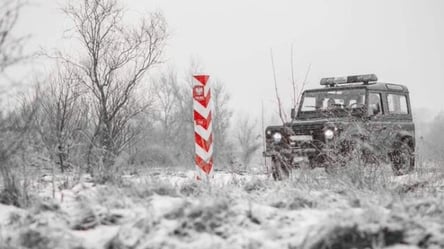 Группа нелегалов из Беларуси снова штурмовала границу Польши - 285x160
