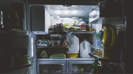 Как хранить продукты в холодильнике при выключенном свете: советы от Минреинтеграции - 285x160