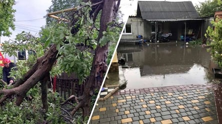 Затопленные дома и вырванные деревья: какие последствия непогоды в Одесской области - 285x160