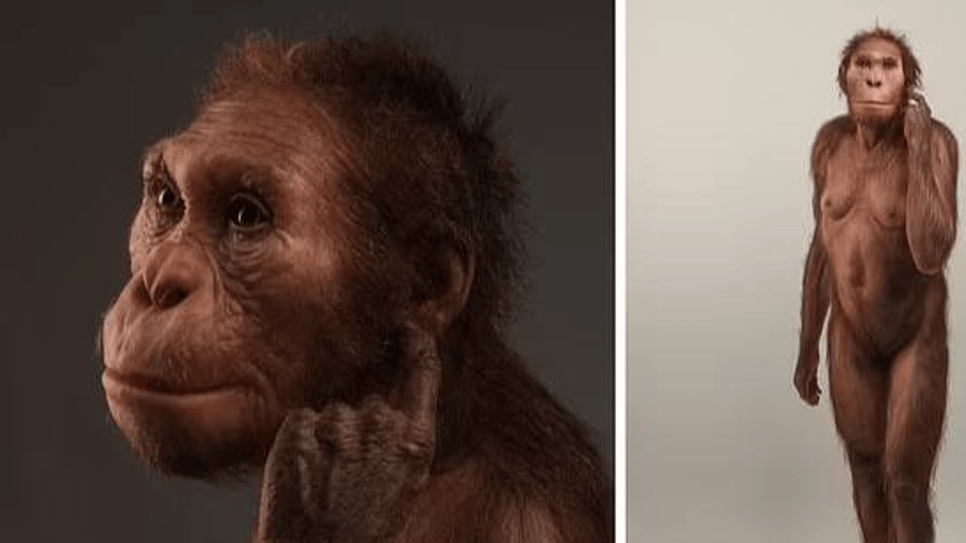 Яким був древній родич людини 2 млн років тому