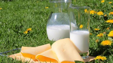 Больше чем в молоке: топ продуктов с высоким содержанием кальция - 285x160