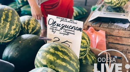 Органические украинские арбузы появились на рынках: проверяем на нитраты - 285x160