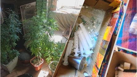 Хранил дома 80 кустов каннабиса: в Одессе обнаружили 39-летнего мужчину с огромным количеством наркотиков. Фото - 285x160