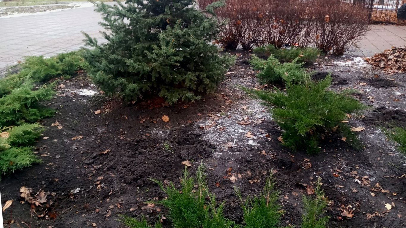 У парку вкрали півсотні рослин - Новини Києва