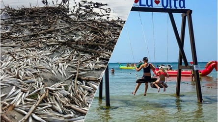 Є загроза зараження популярного курорту: в Одеській області знову масовий мор риби. Фото - 285x160