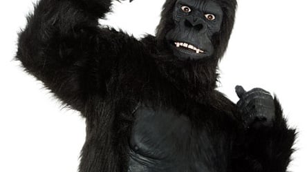 Видео дня: мужчина в костюме гориллы скупает бананы в продуктовом магазине Харькова - 285x160