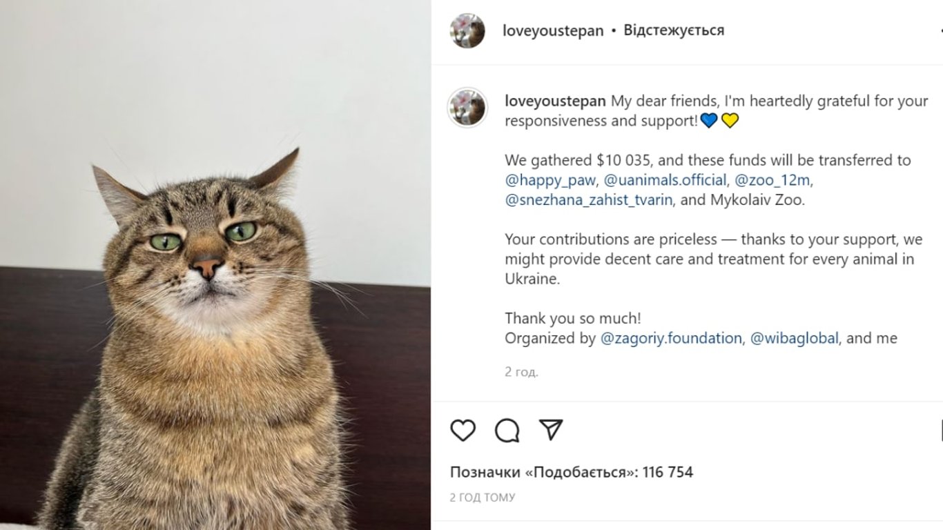 Харківський блогер кіт Степан зібрав понад 10 тисяч доларів на допомогу тваринам