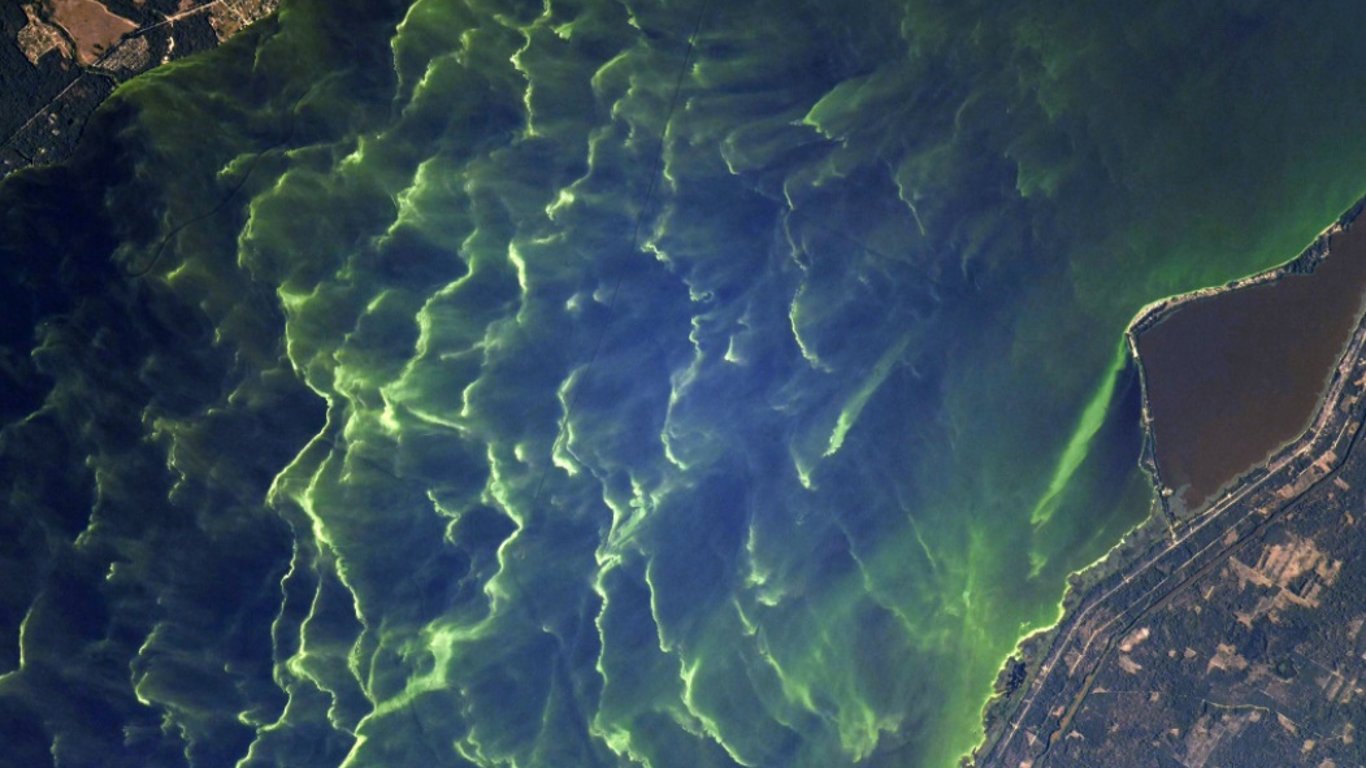 Фото Киева из космоса восхитили астронавта