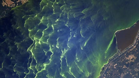 Знімки Києва з космосу захопили астронавта. Фото - 285x160