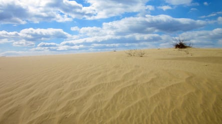 Кицівська пустеля: як танковий полігон став унікальною природною зоною на Харківщині - 285x160