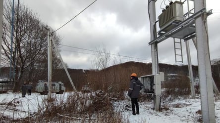 Непогода на Львовщине: как в области восстанавливали электроснабжение и когда снова ожидают шквальный ветер - 285x160