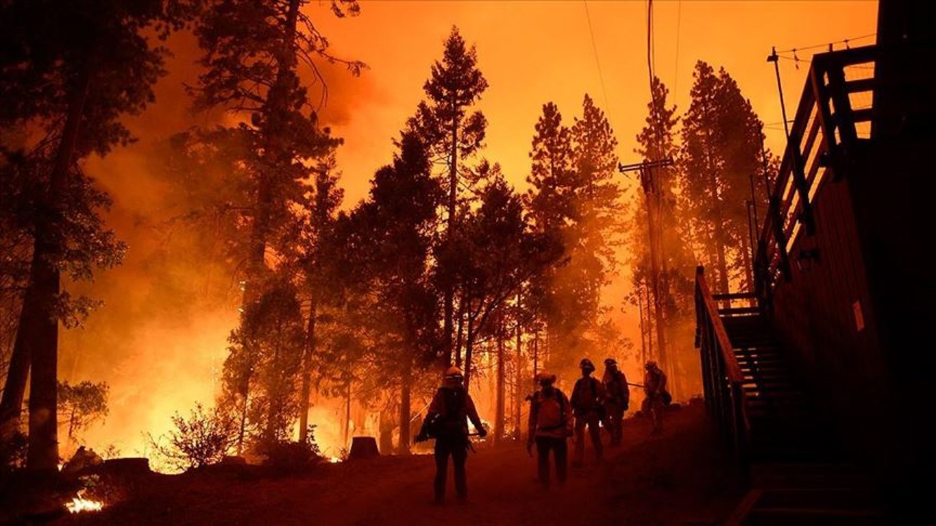 Лісові пожежі у США