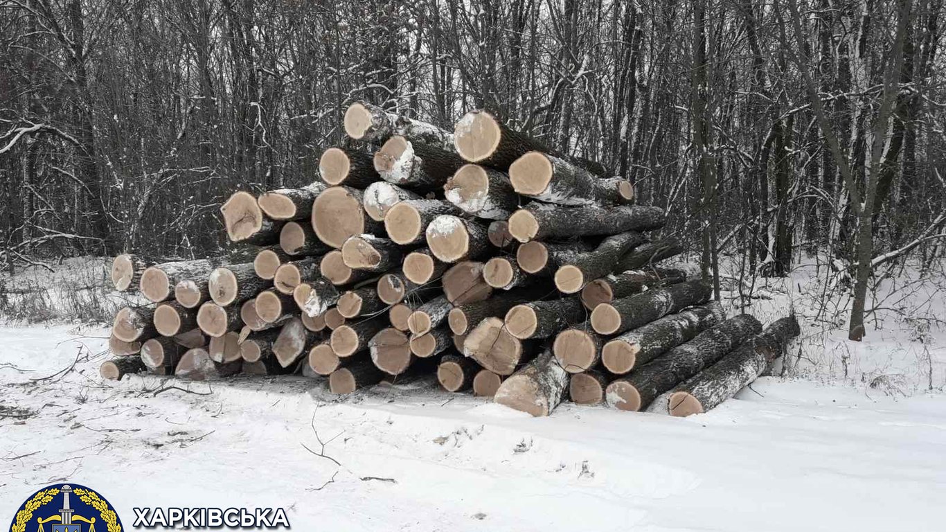 "Черные" лесорубы вырубили леса на 800 тыс. гривен в Харьковской области