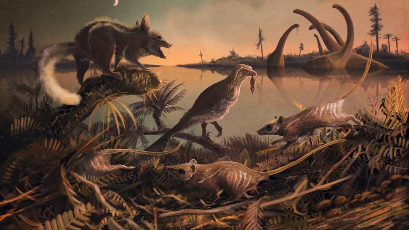 Масове вимирання ссавців на планеті – 30 мільйонів років тому – нове дослідження