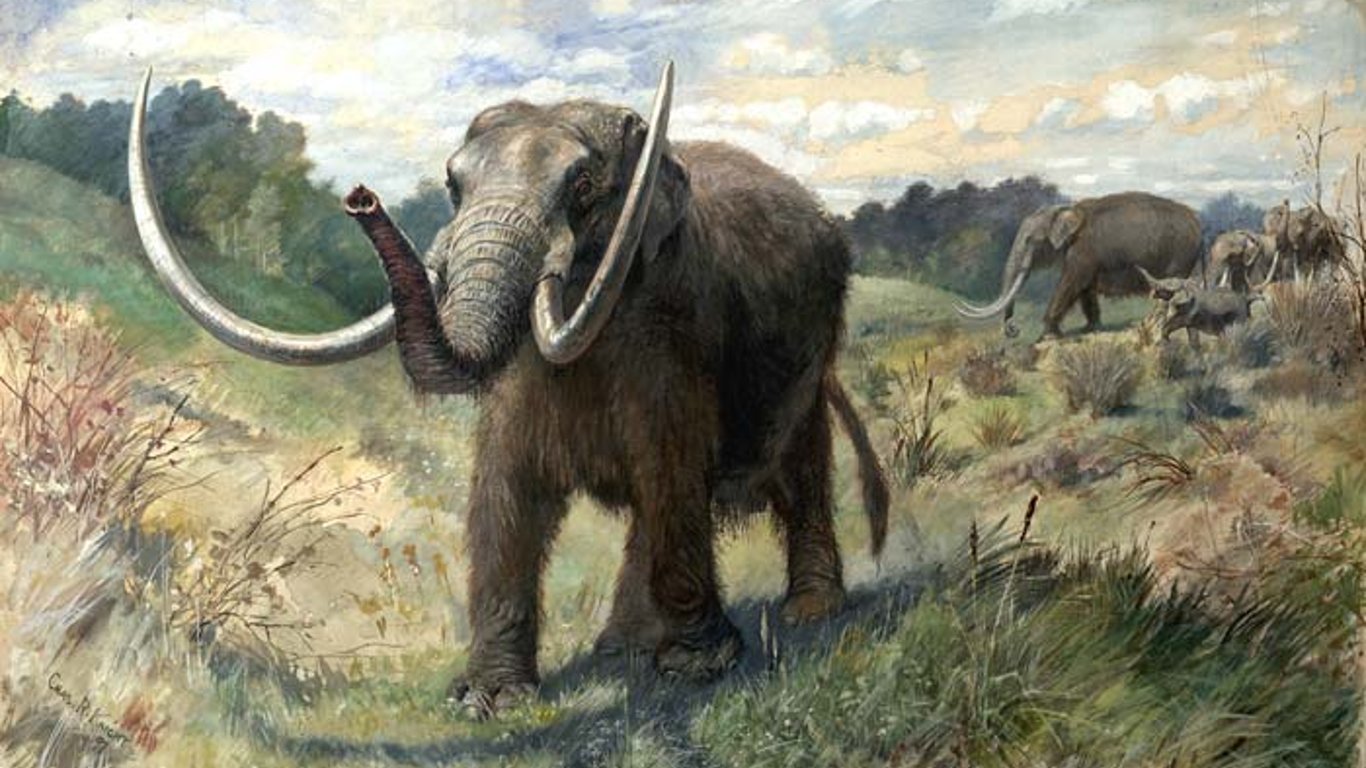 Дмитро Жданов показав скам'янілі рештки тварин, які існували в Одеській області