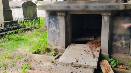 Руйнували склепи та знімали на відео: на Прикарпатті підлітки поглумились над могилами - 285x160