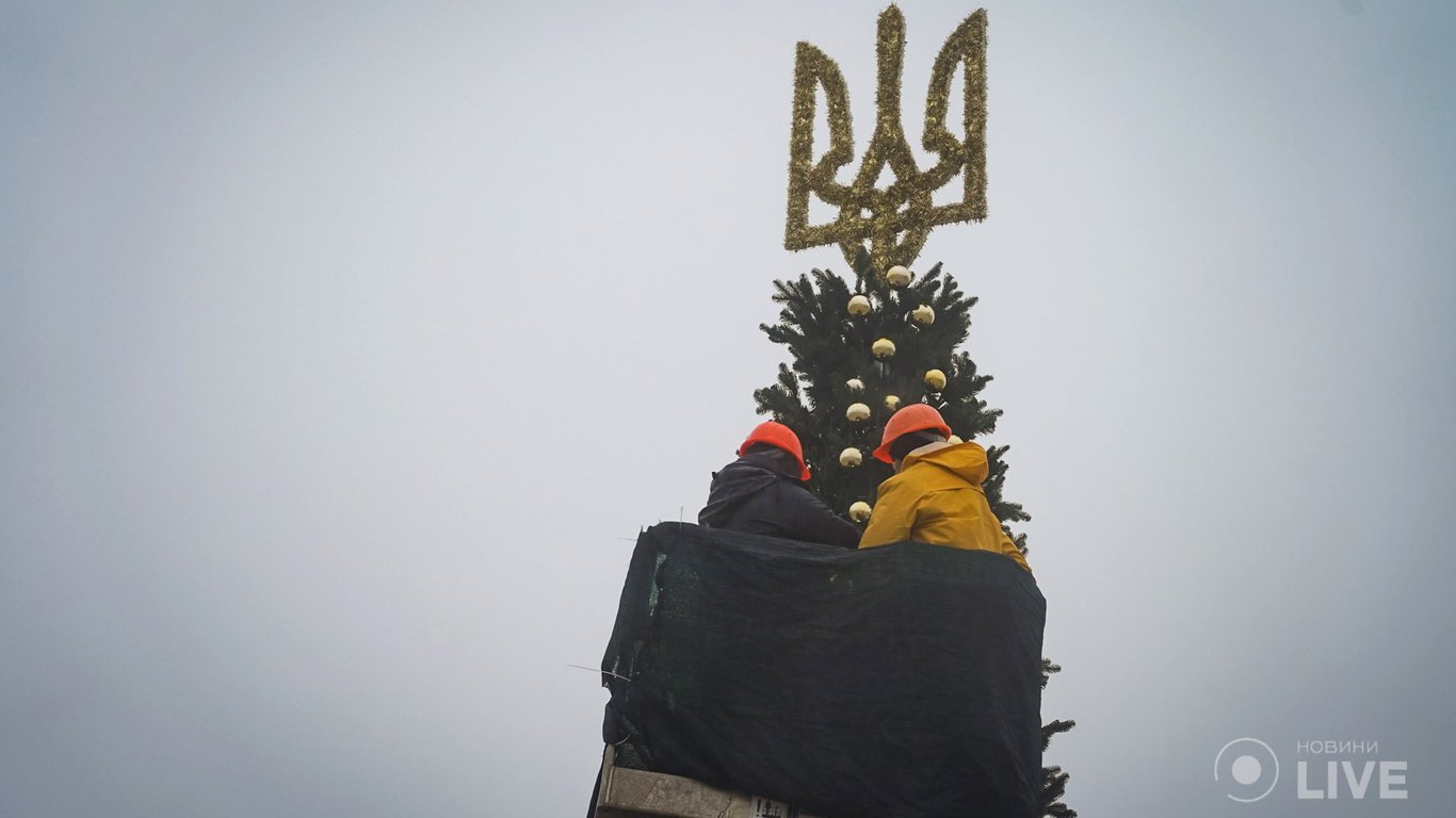 Головна ялинка країни — у Києві встановили новорічну красуню
