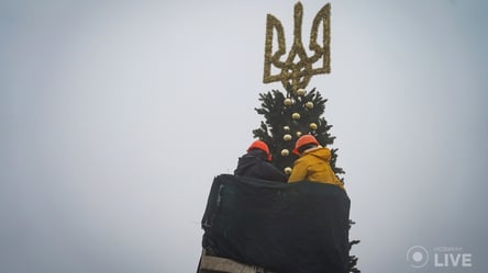 На Софійській площі у Києві встановлюють головну ялинку країни - 285x160