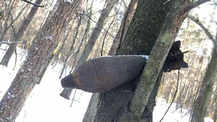 Міна на дереві: на Львівщині знешкодили боєприпас часів Другої світової війни - 285x160