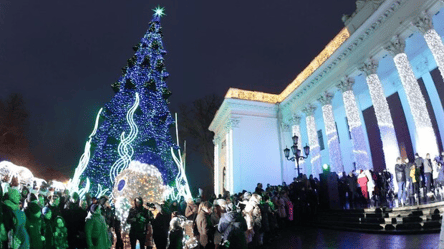 На Думской площади у горсовета зажгли главную новогоднюю елку Одессы. Фото - 285x160