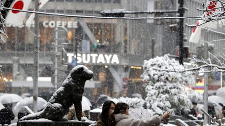 На Токио обрушился сильный снегопад, которого не было 4 года: пострадали более 50 человек. Фото - 285x160