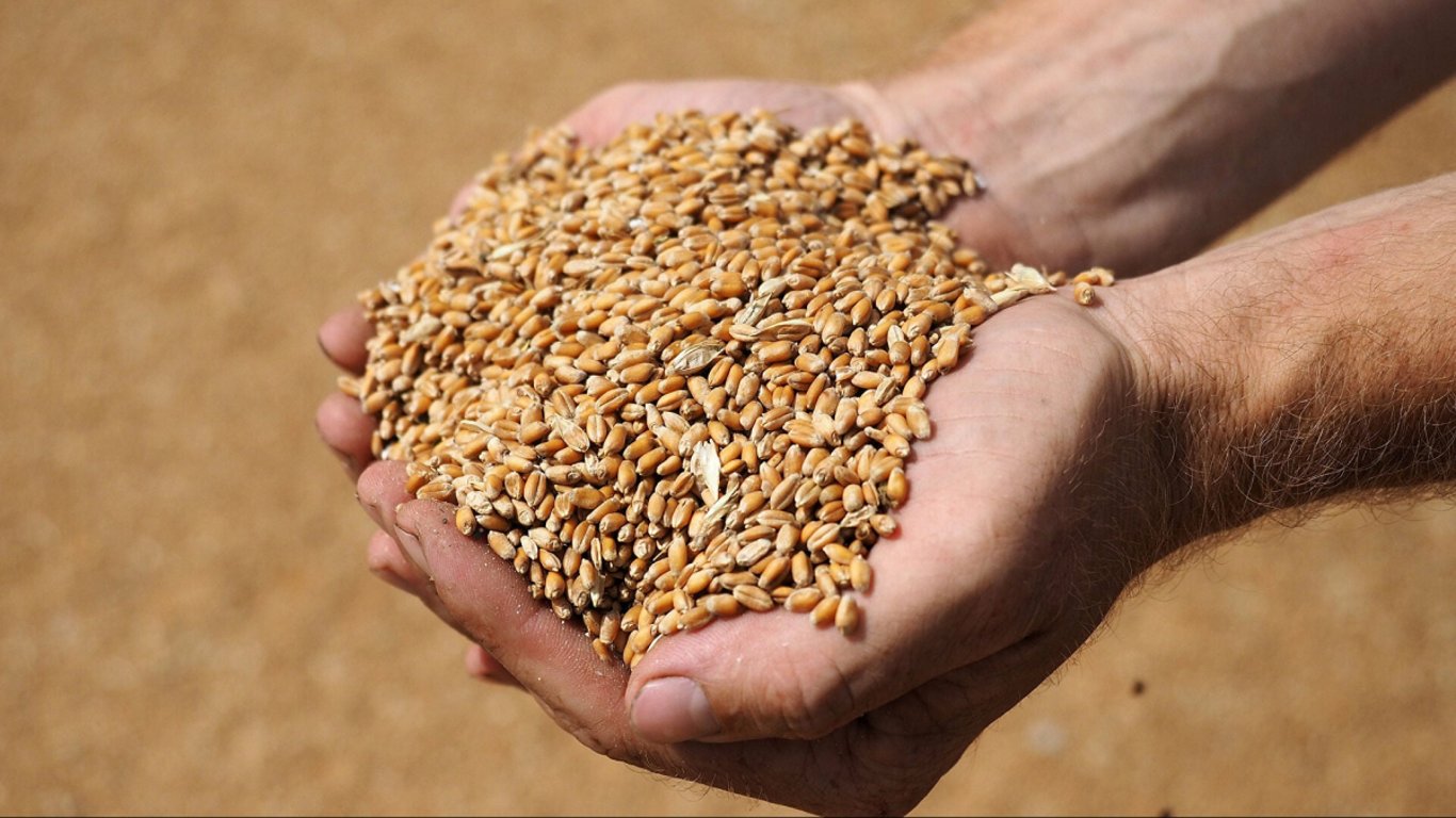 Україна пропонує G7 створити організацію країн-експортерів зерна