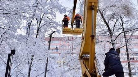 Львівські снігопади знеструмили понад сотню населених пунктів - 285x160