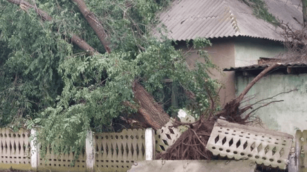 Негода накрила Одеську область: в околицях зірвало дахи, обірвало дроти та зламало дерева - 285x160