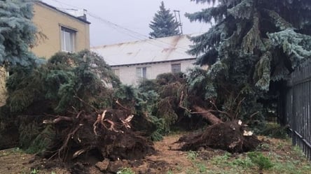 Непогода в Украине унесла жизни двух человек: нескольких пострадавших госпитализировали - 285x160