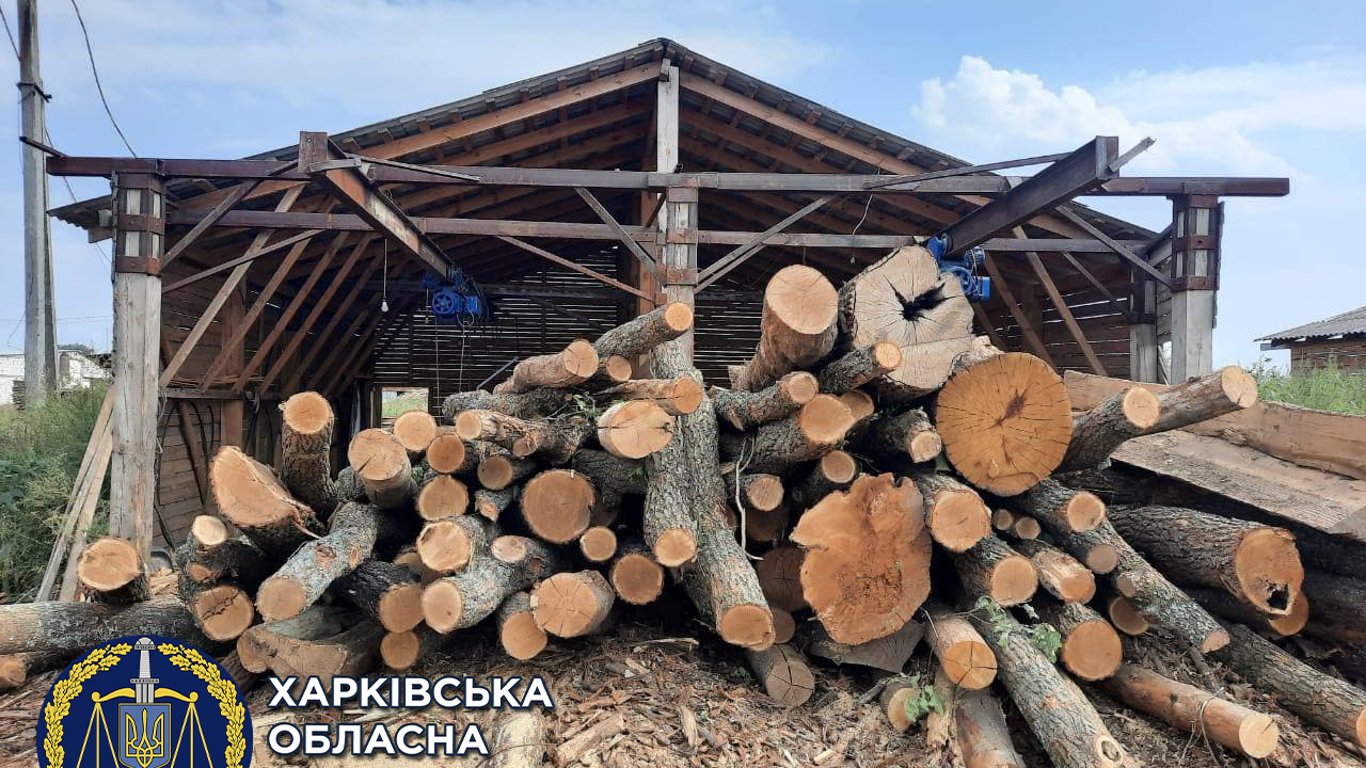 В Харьковской области лесхоз заплатит почти миллион гривен за незаконную вырубку