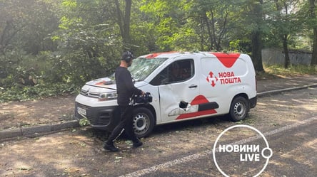 Гілки пробили лобове скло та двері: у Києві блискавка повалила дерево на автомобіль. Фото - 285x160